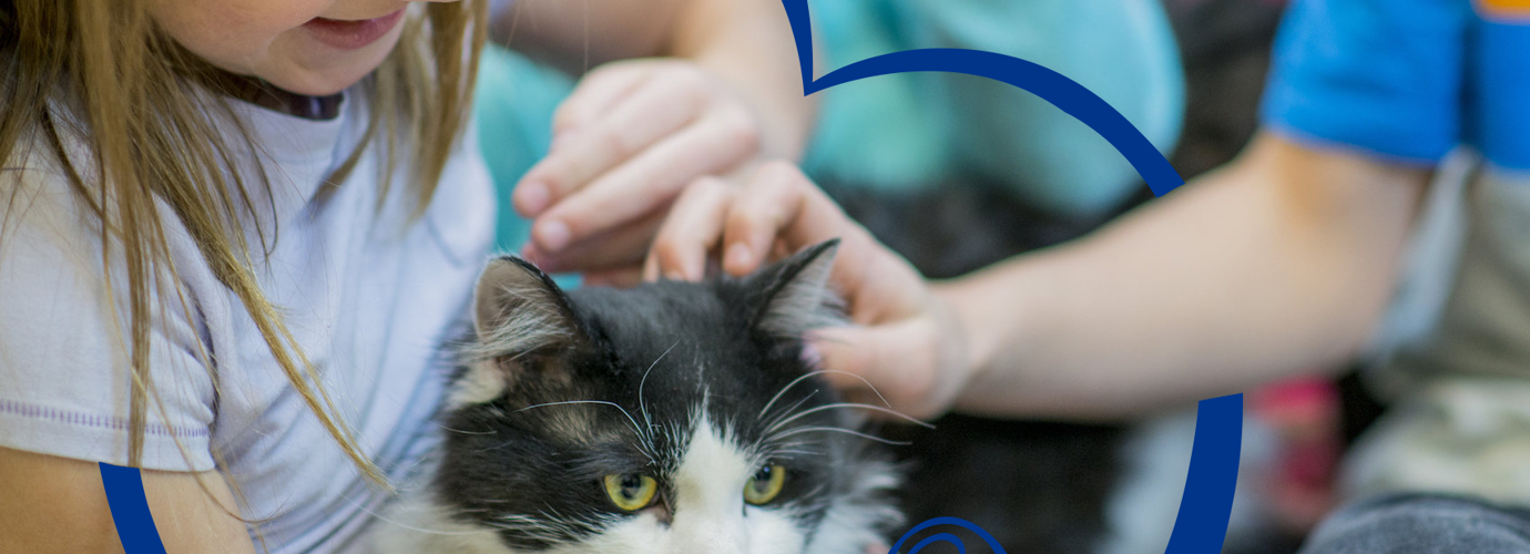 5 consejos para lidiar con los síntomas de alergia a los perros y gatos