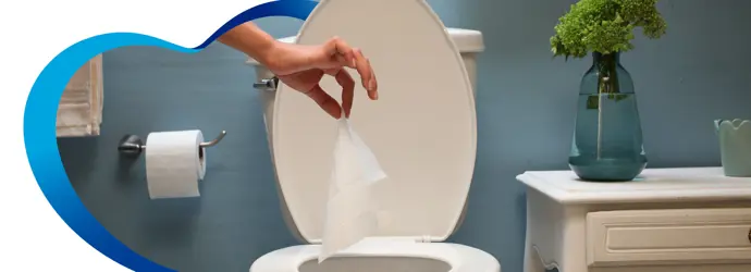 Todo sobre nuestro papel húmedo