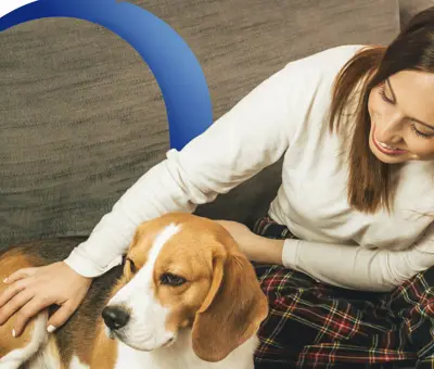 Tips sencillos para las mascotas en casa