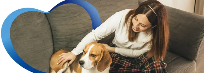 Tips sencillos para las mascotas en casa