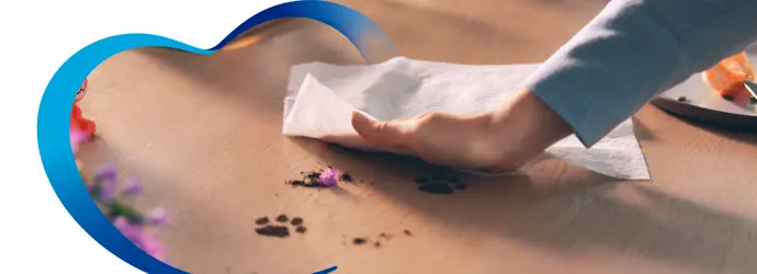Utilizar toallas de papel en la cocina puede cambiar la vida.