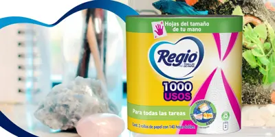 ¿Cómo limpiar una pecera?: paso a paso