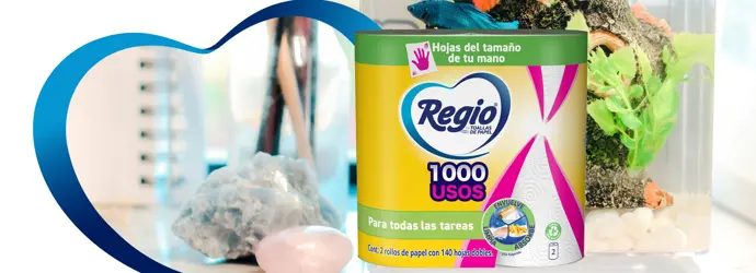 ¿Cómo limpiar una pecera?: paso a paso